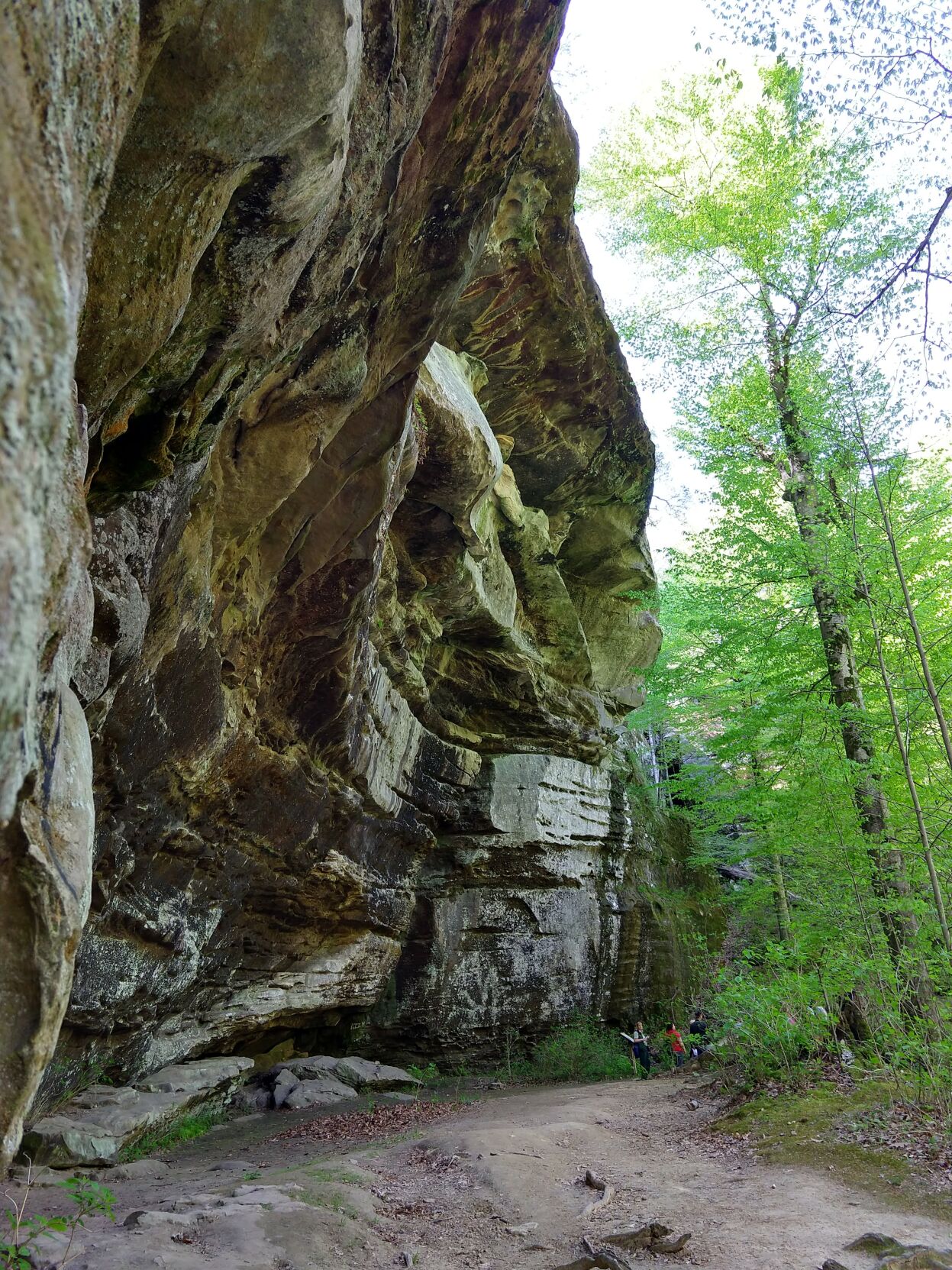 Shawnee National Forest, Illinois